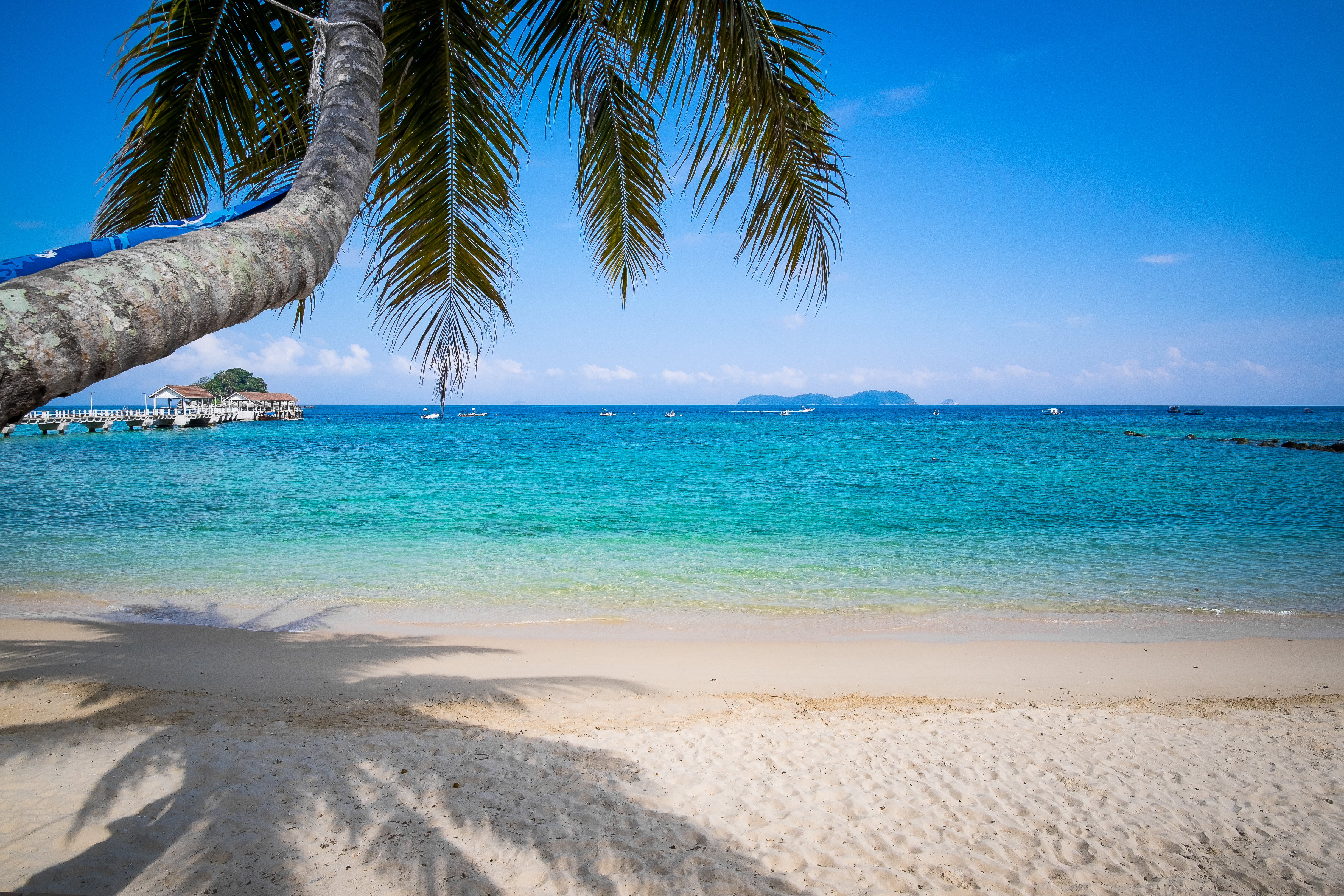Palme am Tioman Island beach mit Bilck auf das blaue Meer.