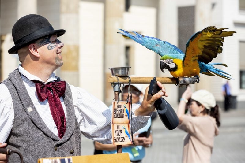 Milos Kozon, Drehorgelspieler, besprüht seinen Papagei Robinson am Brandenburger Tor zur Abkühlung mit Wasser. Foto: Christoph Soeder/dpa