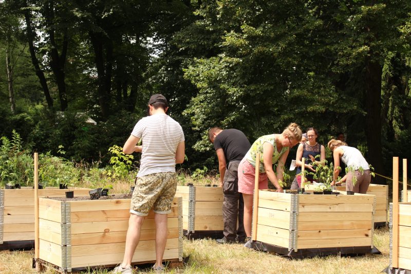Glückliche Gärtner an Hochbeeten: mit einer Petition kämpft das Gartenkollektiv um den Erhalt des Prinzessinnengartens.   