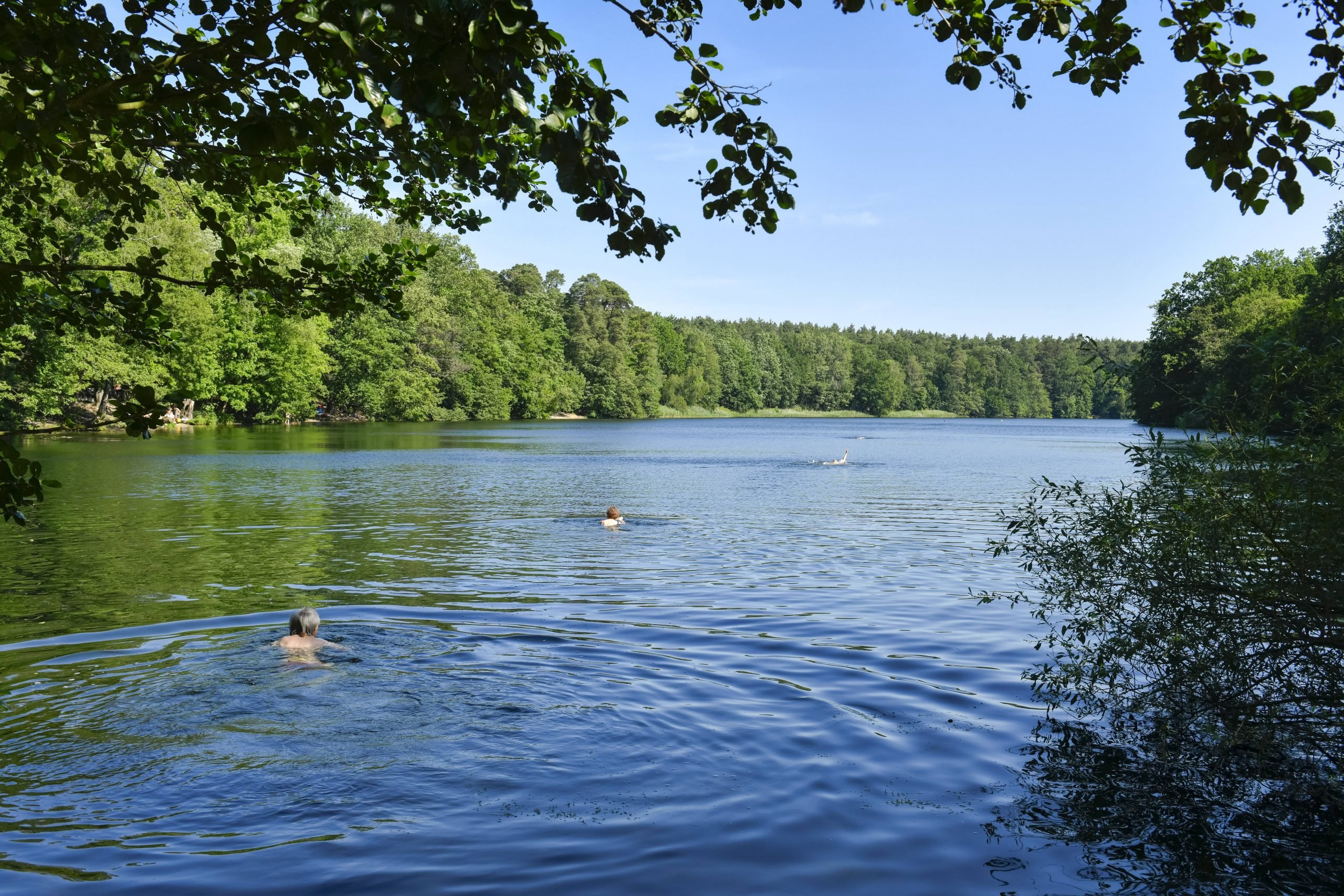 Die Krumme Lanke in Zehlendorf – dem See wurden anders als anderen Badeseen sogar Lieder gewidmet. Foto: Imago/Schöning