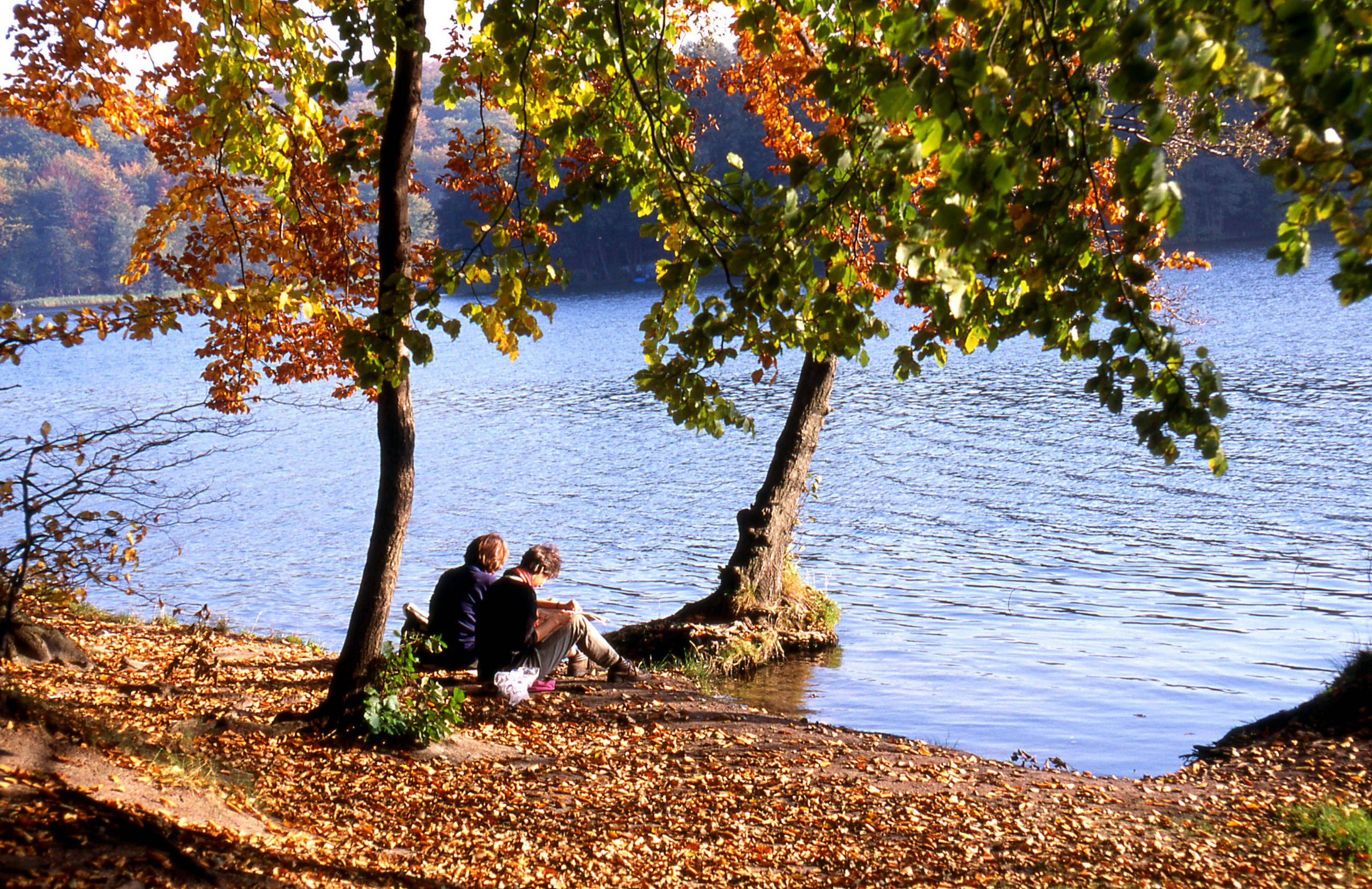 Ob Herbst oder Frühling: am Liepnitzsee ist's immer schön.