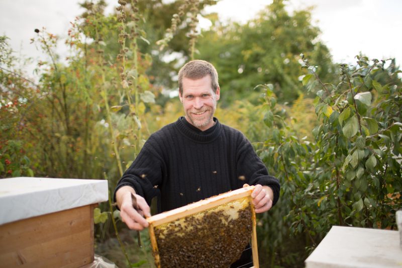 Malte Eismann vertreibt seinen Honig bei Bio-Company, der LPG und vielen weiteren Berliner Bio-Läden.