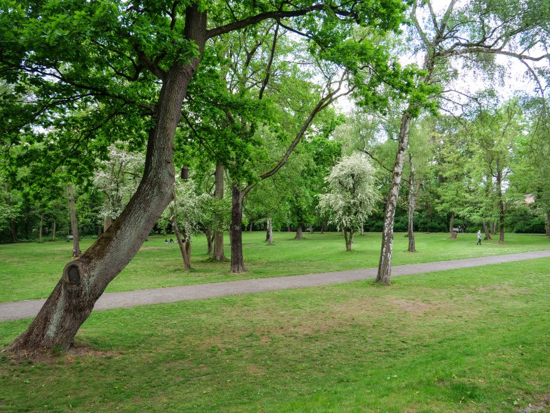 Der Erlenbusch ist ein verwunschener Park in Berlin-Dahlem. 