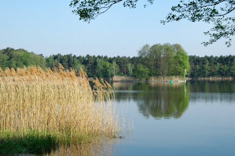 Den See gibt es in Jugendherbergen in Brandenburg als Topping obendrauf - pure Idylle am Ufer des Köriser See.