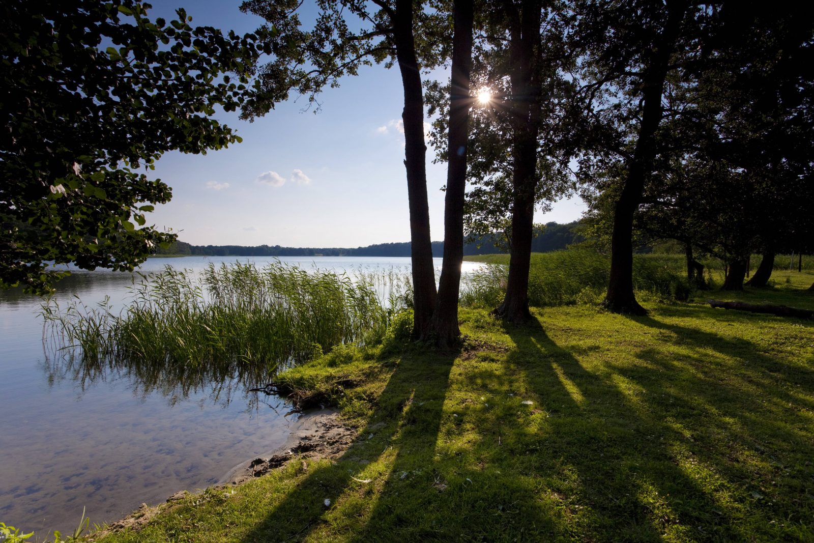 Das idyllische Ufer des Röddelinsees. Foto: imago images/blickwinkel