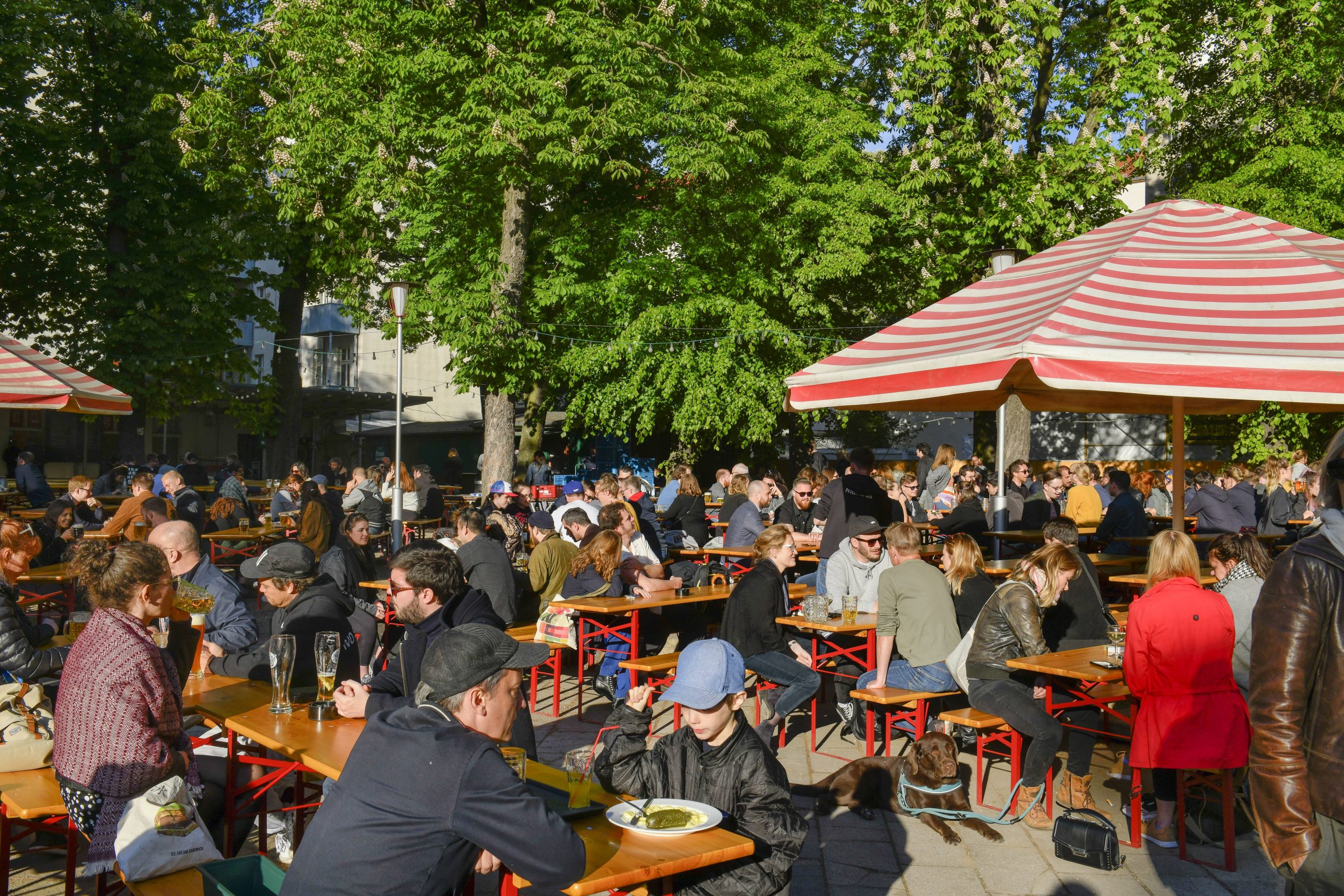 Biergärten in Berlin Im Prater Biergarten trinkt man bei schönem Wetter das süffige Prater Pils, das Essen kommt frisch vom Grill.