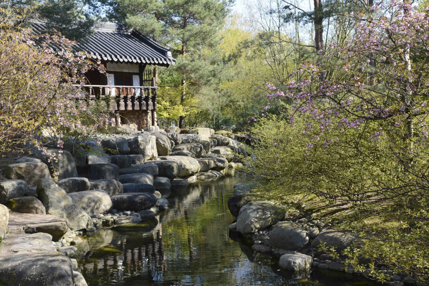 12 tolle Orte in Marzahn-Hellersdorf: Der koreanische Garten. 