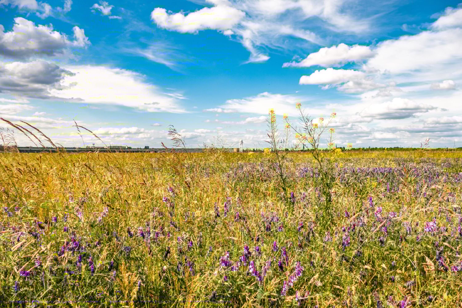 Schöne Orte in Tempelhof: Die berühmteste Freifläche der Stadt, das Tempelhofer Feld.