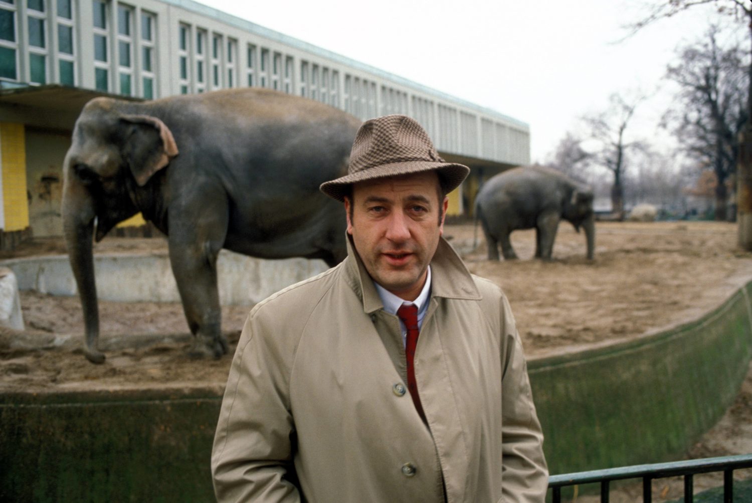Schauspieler und Sänger Manfred Krug besucht die Elefanten in Berliner Zoo, Oktober 1985.