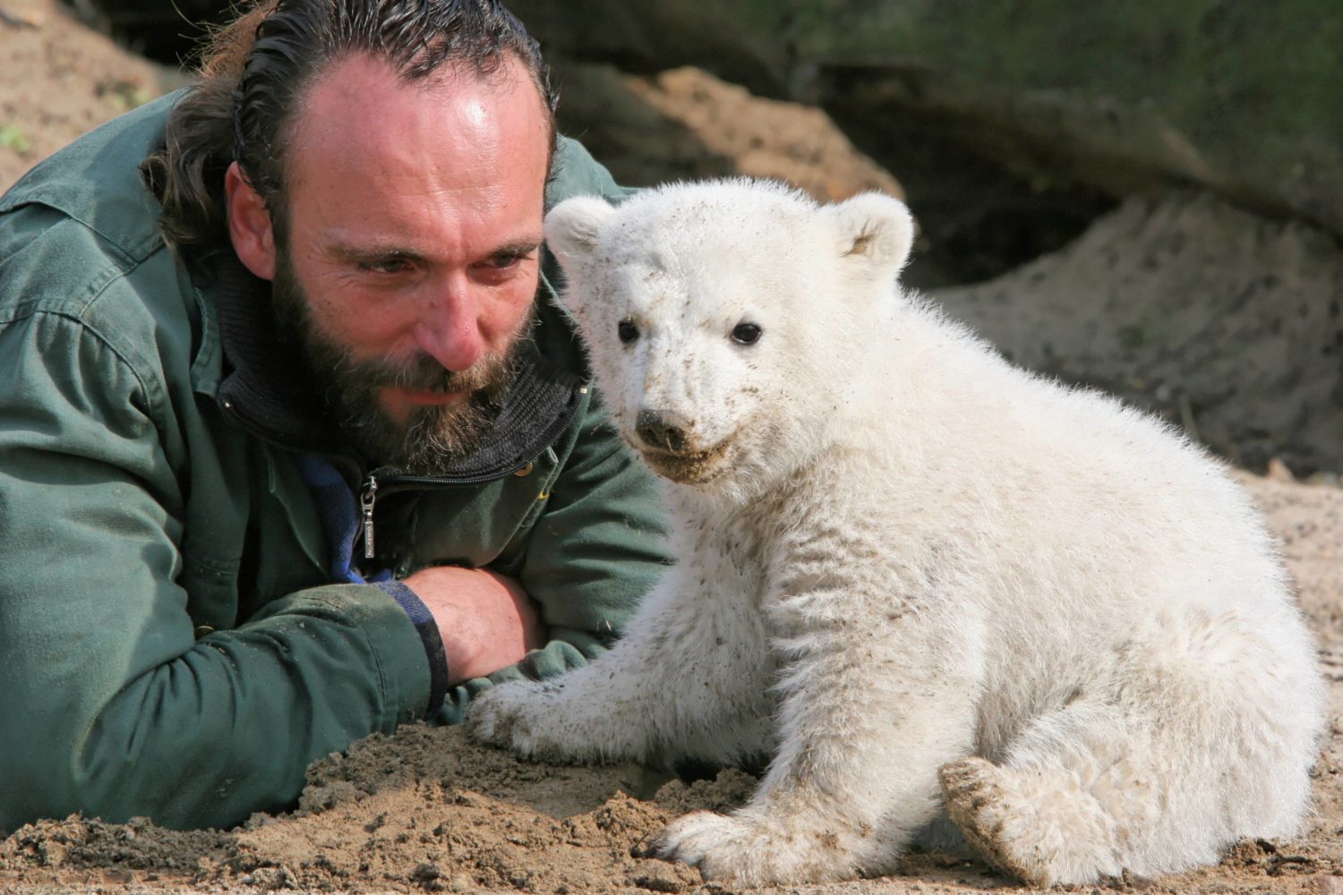 Tierpfleger Thomas Dörflein und Eisbär Knut, Foto vom März 2007. 