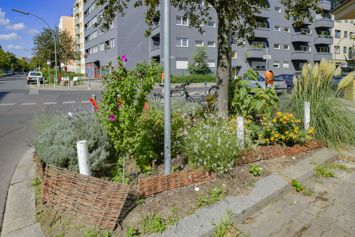 In immer mehr Bezirken beginnen die Berliner*innen die Baumscheiben zu verschönern. Unser Autor meint, dass das dem Stadtklima nicht gut tut. Foto: Imago/Schöning