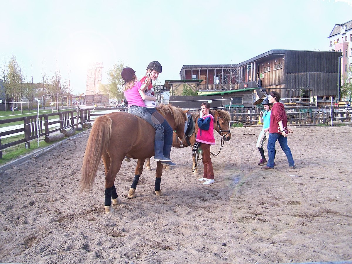 Ein Angebot wie auf einem Feriencamp. Für das Pony-Reiten stehen die Kinder gerne früh auf – ab 6 Uhr heißt es "Galopp!" Foto: Jugendfarm Moritzhof