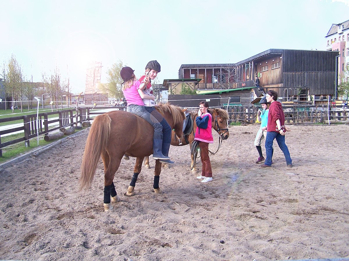 Ein Angebot wie auf einem Feriencamp. Für das Pony-Reiten stehen die Kinder gerne früh auf – ab 6 Uhr heißt es "Galopp!" Foto: Jugendfarm Moritzhof Ein Angebot wie auf einem Feriencamp. Für das Pony-Reiten stehen die Kinder gerne früh auf – ab 6 Uhr heißt es "Galopp!" Foto: Jugendfarm Moritzhof