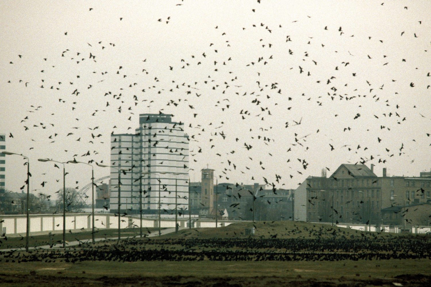Vogelschwarm über dem leeren Potsdamer Platz, Januar 1990. Foto: Imago/Werner Schulze