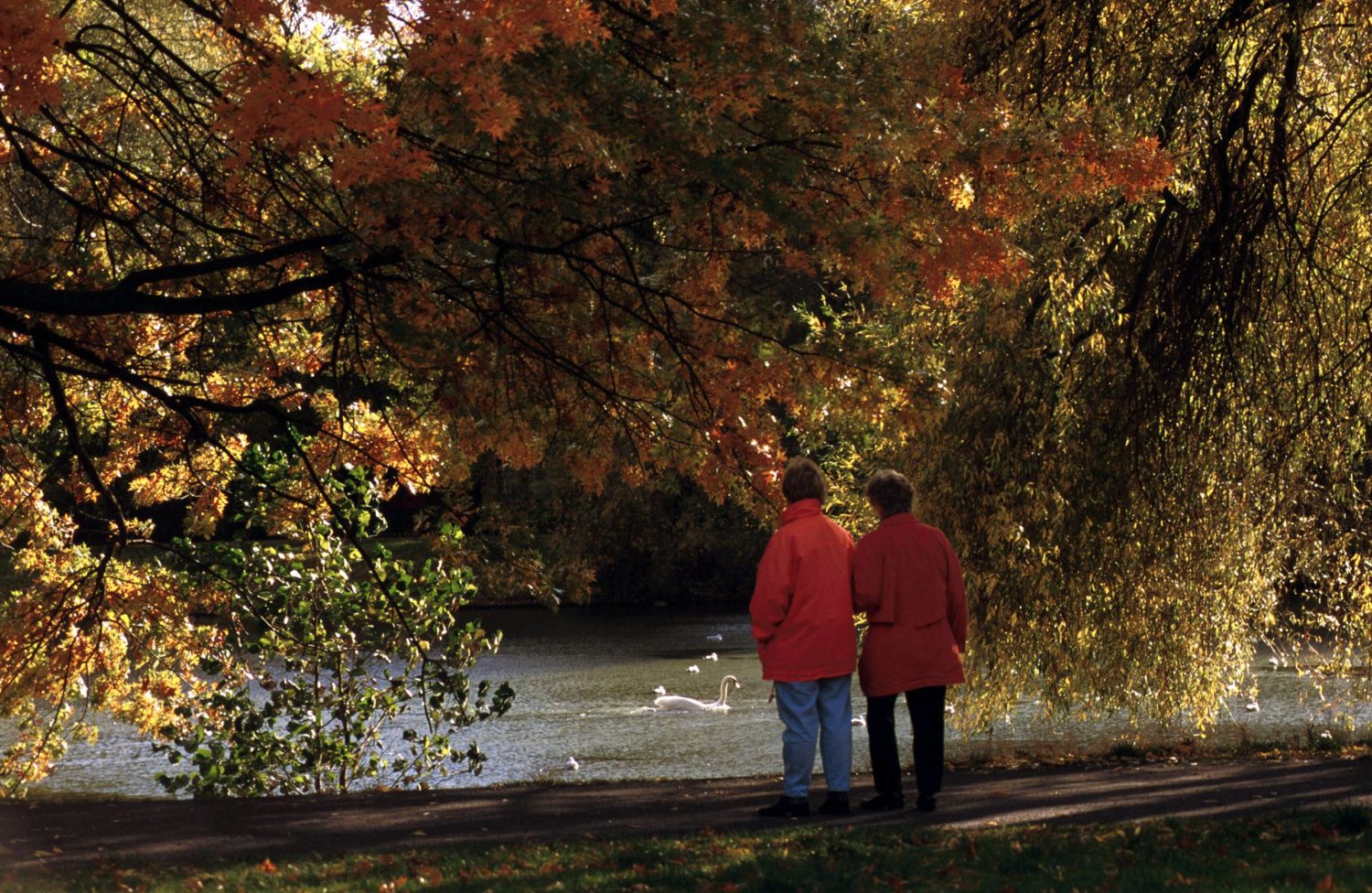 Zu jeder Jahreszeit lohnt sich ein Spaziergang durch den Volkspark Mariendorf. Foto: Imago/Sven Lambert 