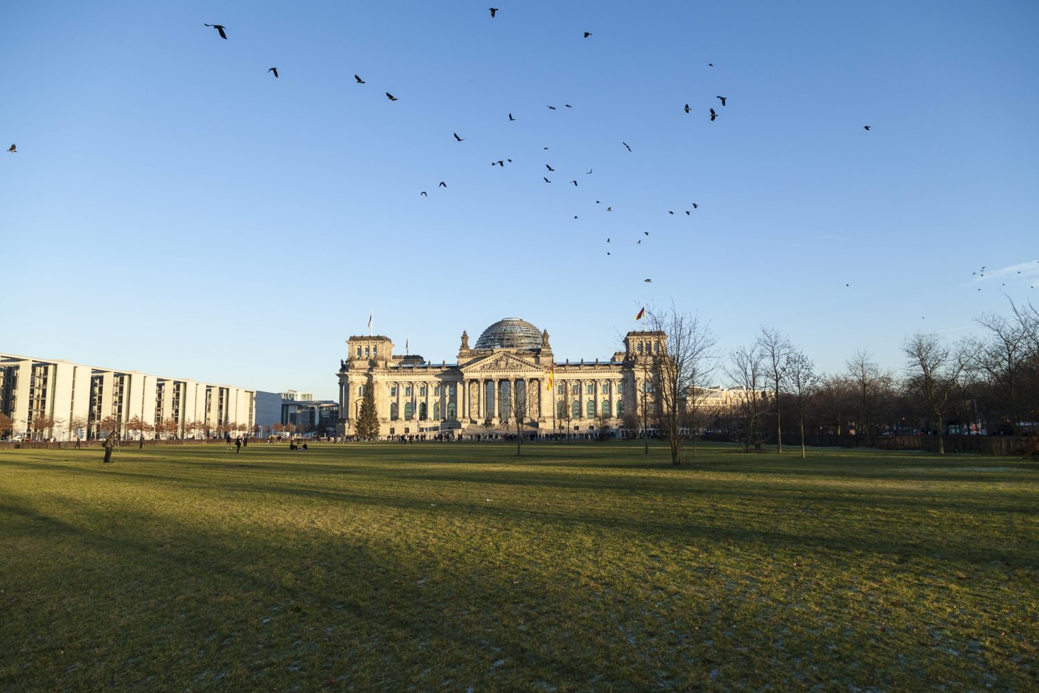 Reichstag und Vogelschwarm. Foto: Imago/STPP
