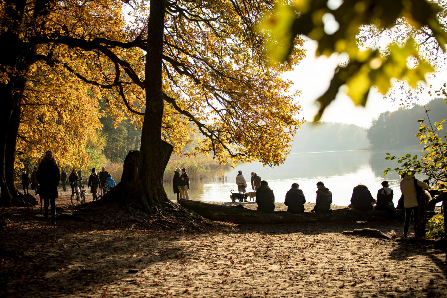 An einem sonnigen Herbsttag suchen die Berlinerinnen und Berliner gerne Wälder und Seen der Stadt auf, wie hier der Grunewaldsee.