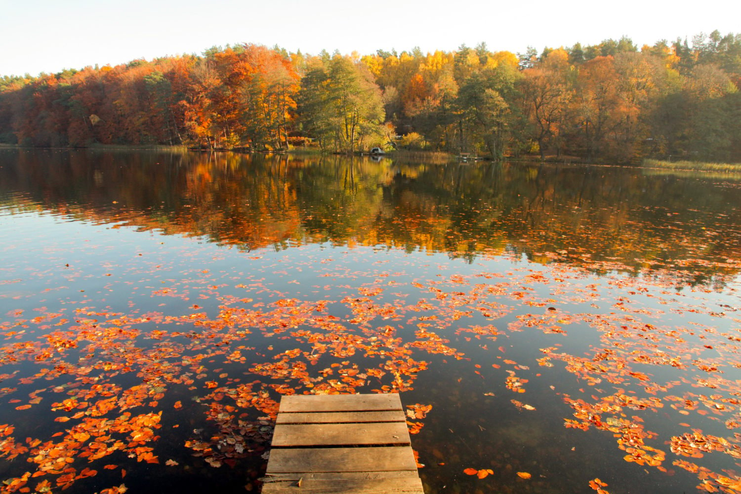 An diesen 12 Orten in und um Berlin fühlt ihr euch so richtig Herbst: Liepnitzsee 