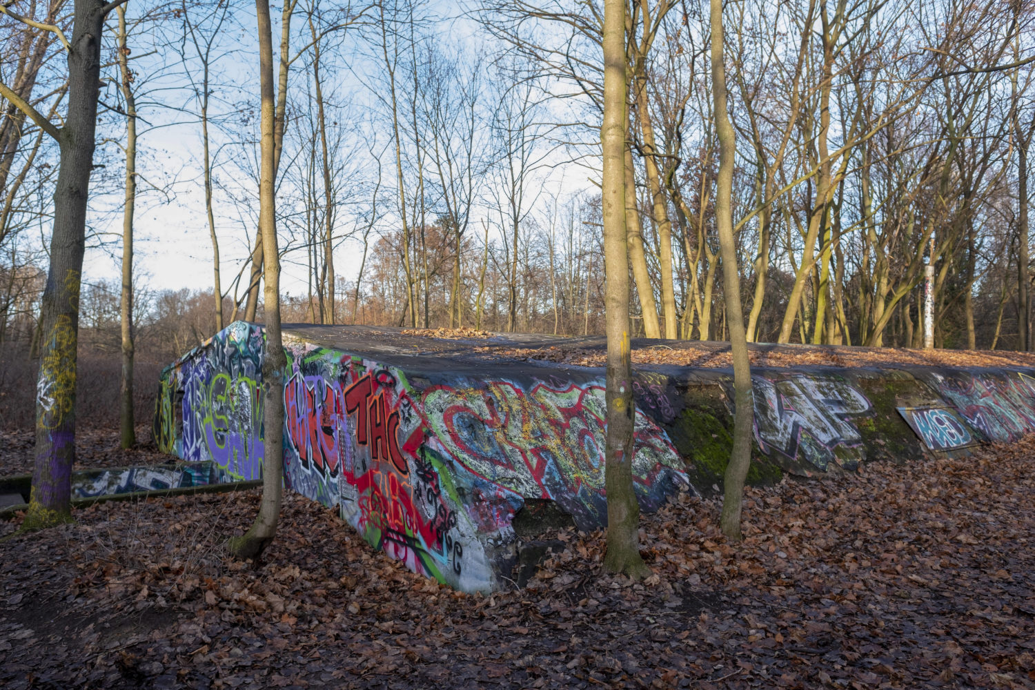 Bunker im Wald, Schönholzer Heide. Foto: Imago/Rolf Zöllner