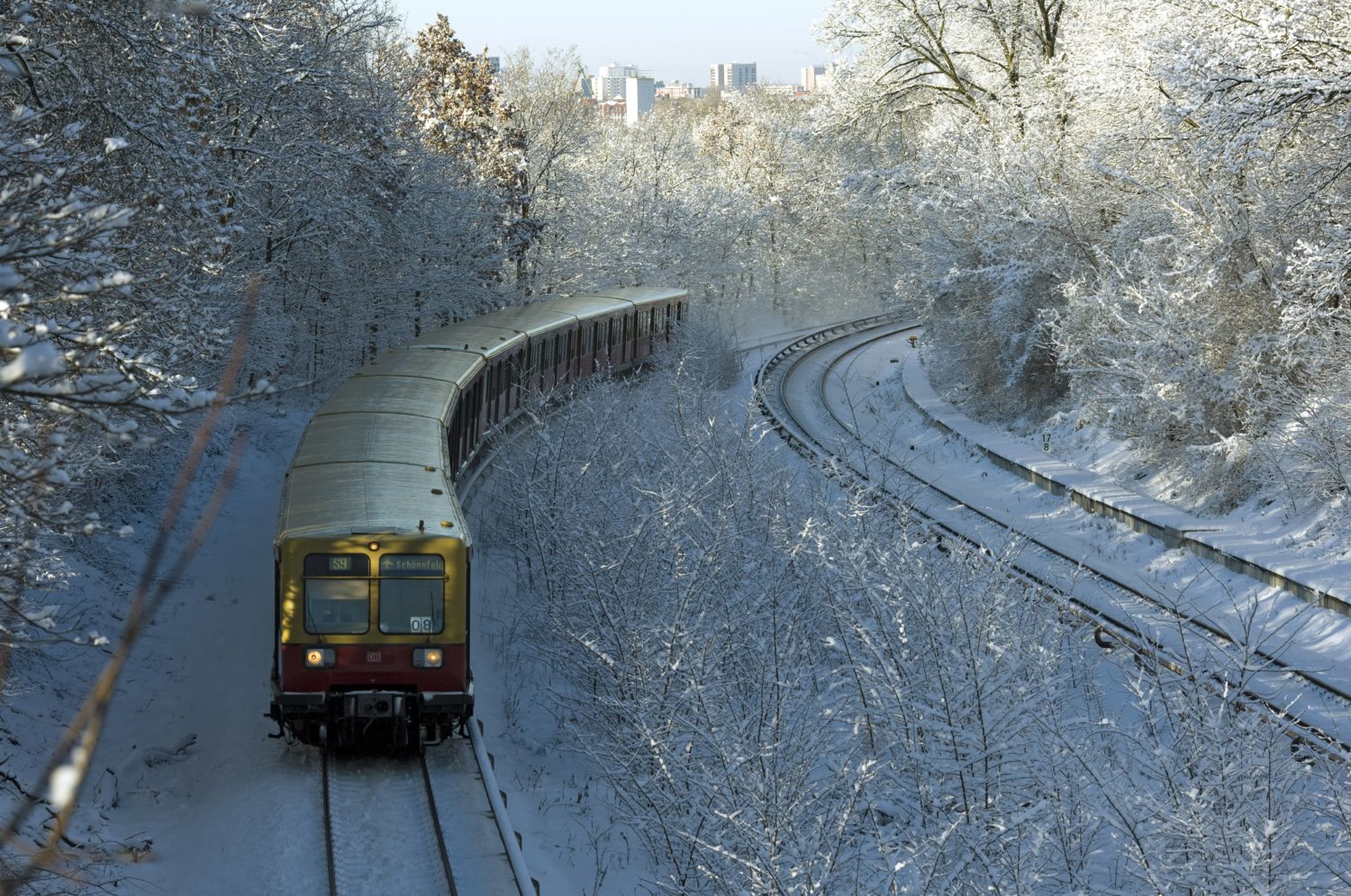 Schnee in Berlin: S-Bahn auf der Fahrt durch den verschneiten Grunewald, 2009. Foto: Imago/Jürgen Heinrich