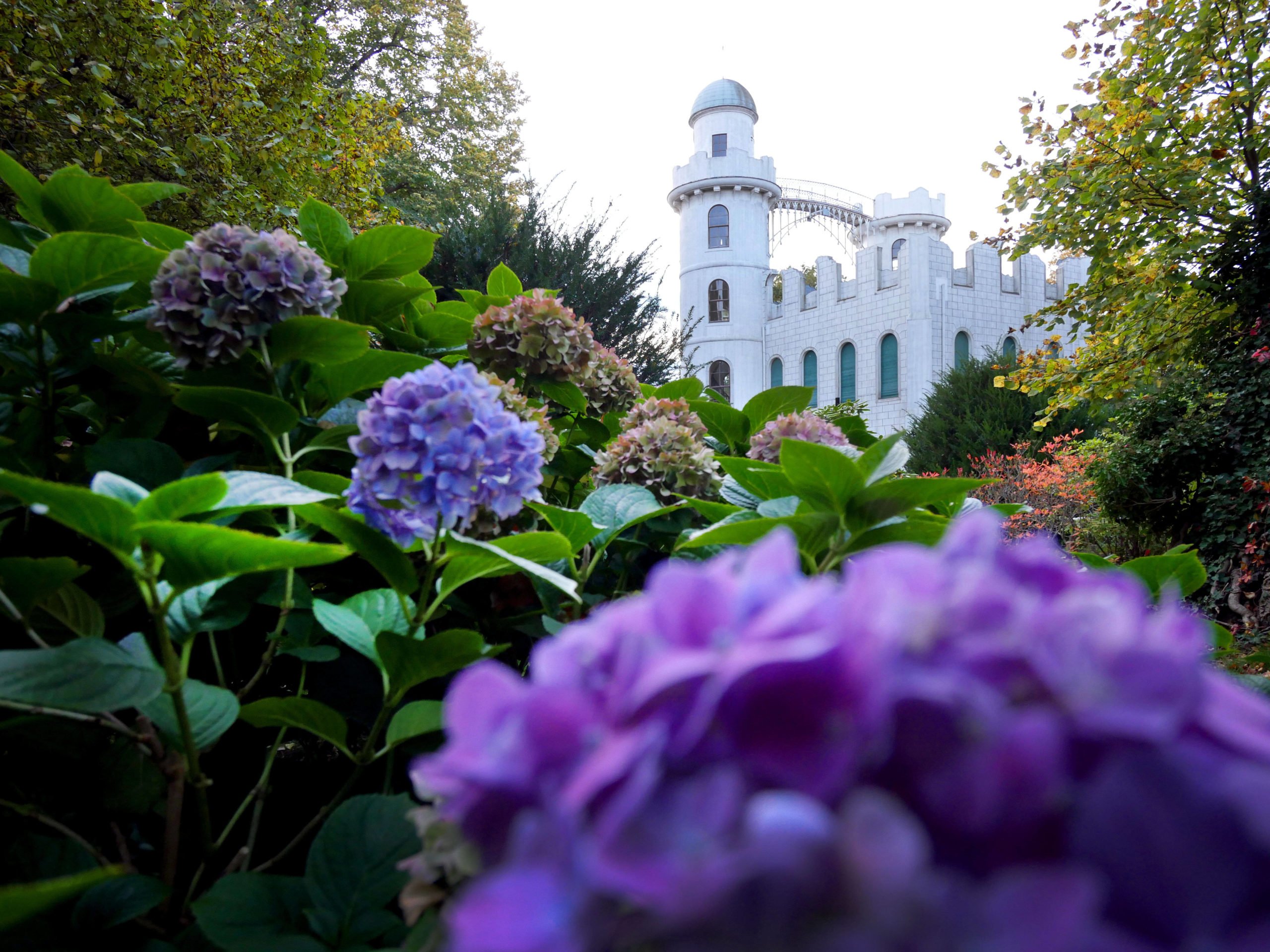 Klein, aber fein: Das Schloss Pfaueninsel entstand unter Friedrich Wilhelm II. Ende des 18. Jahrhunderts. Foto: Imago/Sabine Gudath