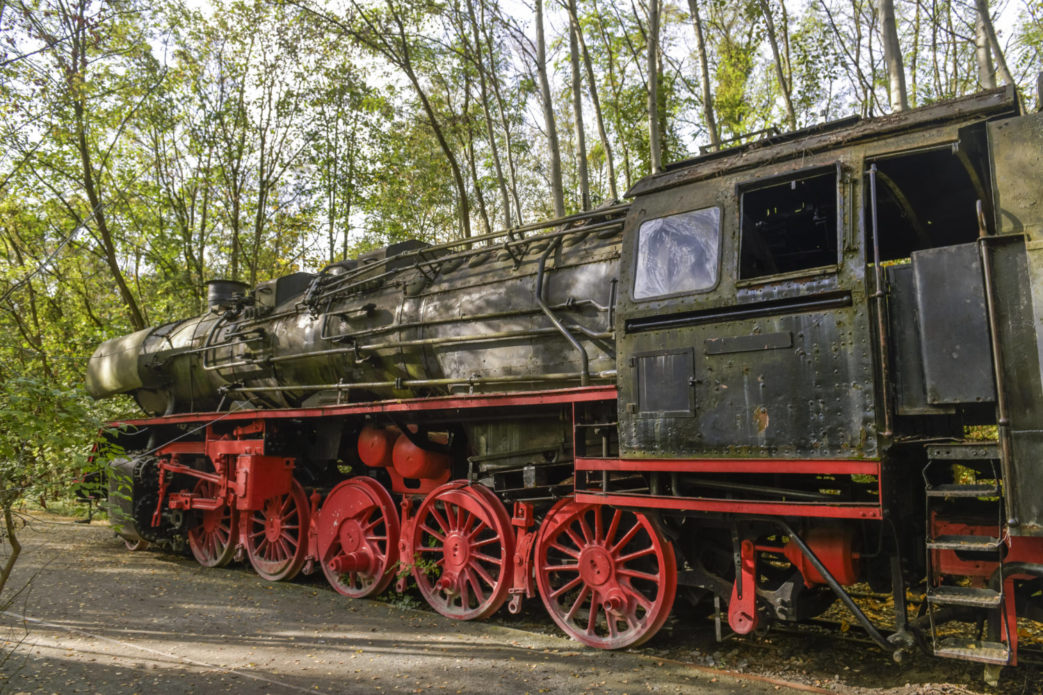 Ausrangierte Lokomotive im Naturopark Schöneberger Südgelände. Foto: Imago Images/Schöning