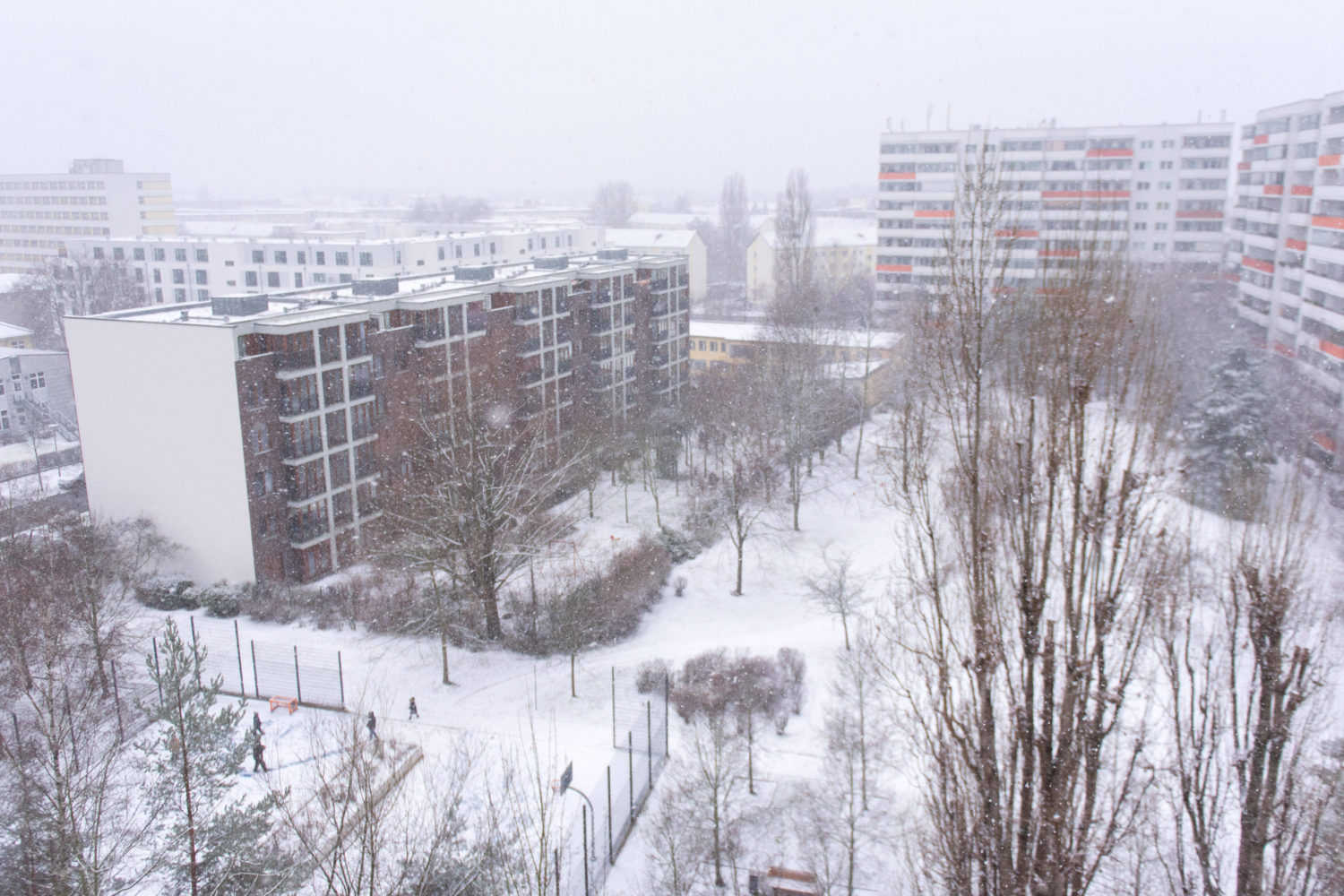 Berlin im Schnee 2021: Hohenschönhausen 