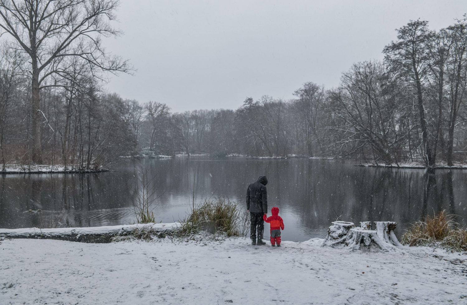 Berlin im Schnee 2021: Tiergarten 