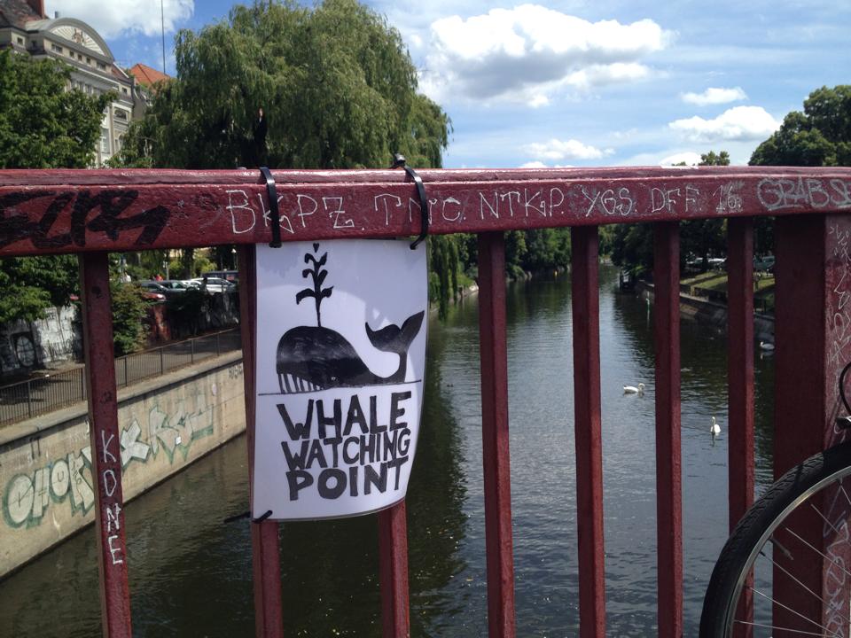 Kuriose Fotos aus Berlin: Nur Schwäne auf dem Landwehrkanal. Wo sind die Wale? Foto: tipBerlinv