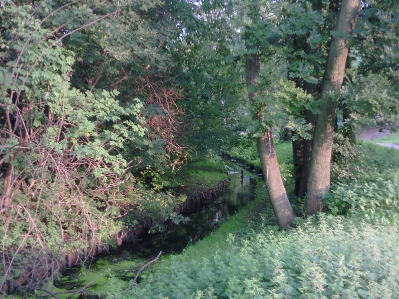 Flüsse in Berlin: Am Oberlauf des Grützmachergrabens im Grützmacherpark in Spandau. Foto: Sarkana/Wikimedia Commons/Free Art License 1.3