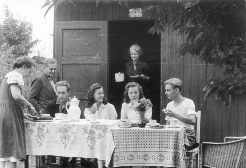 Erntezeit im Schrebergarten, Ost-Berlin, späte 1940er-Jahre. Foto: ADN-ZB/Archiv Berlin 1948/Blunck