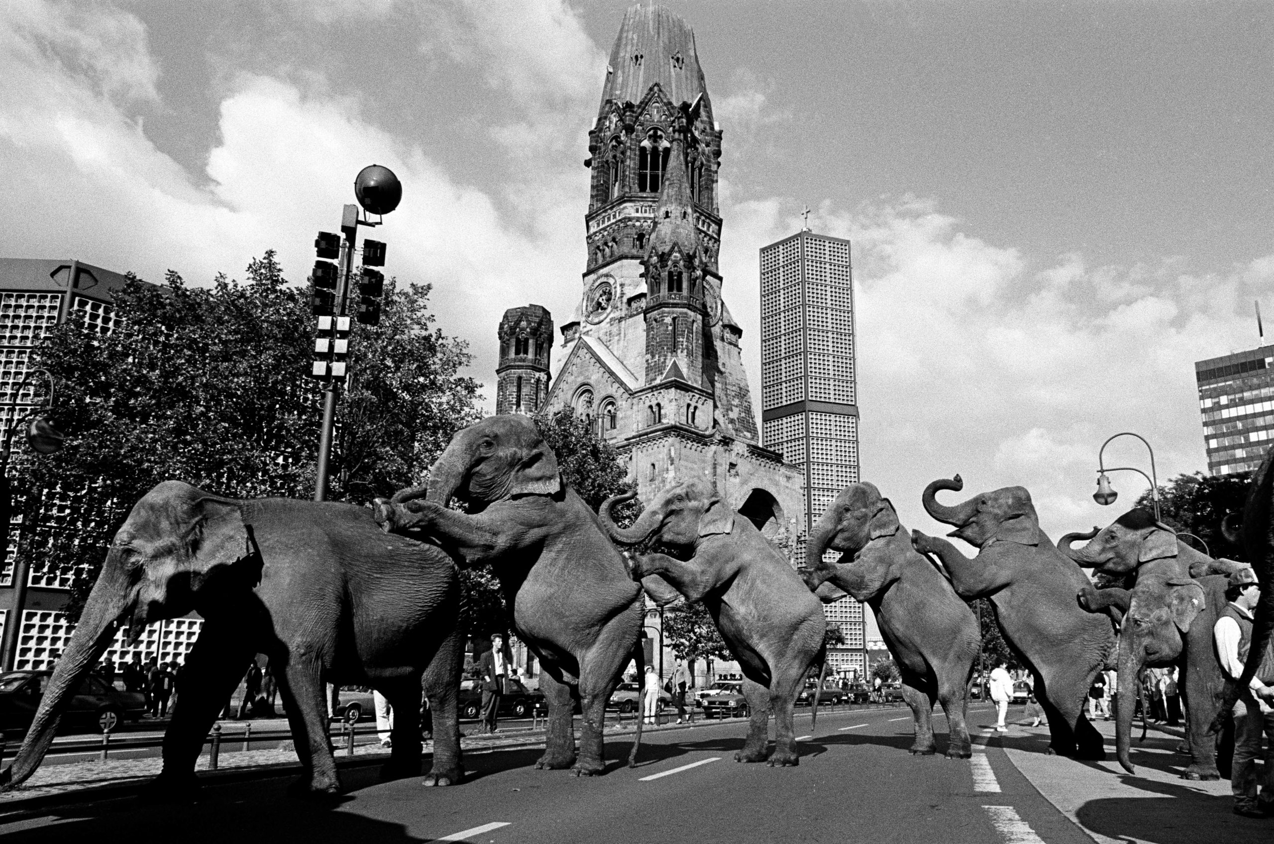 Elefantenparade des American Circus auf dem Kurfürstendamm an der Gedächniskirche, 1986. Foto: Christian Schulz