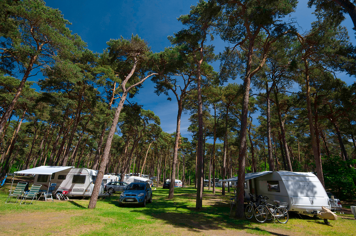 schöne Campingplätze an der Ostsee Auf dem Campingplatz Pommernland schlafen Gäste in Wohnwagen oder Holzhütten inmitten des Kiefernwaldes.