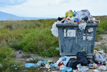 Illegale Müllentsorgung kann euch bis zu 30 Euro Strafe kosten. Foto: Pixabay/RitaE