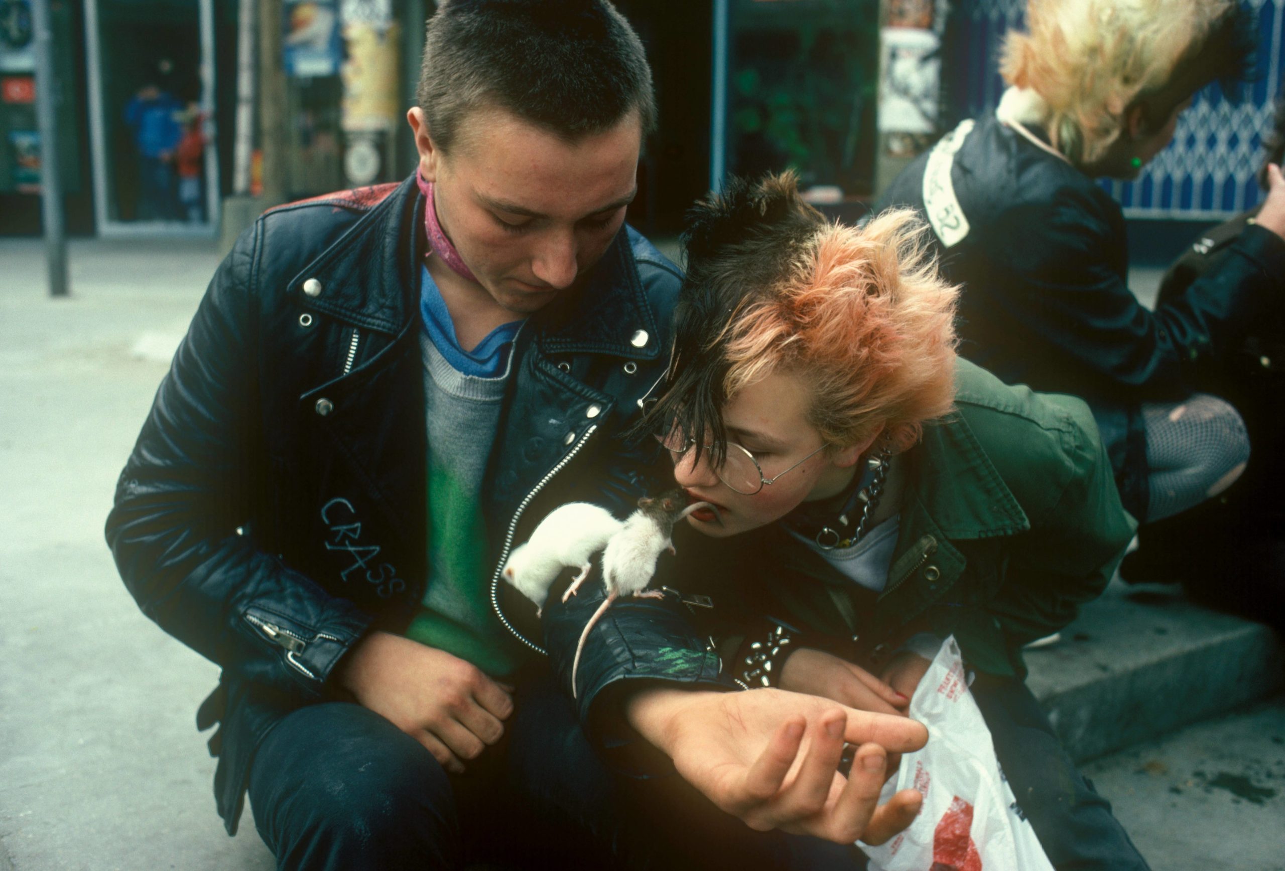 Punkerpaar spielt mit seinen Ratten, 1989. Foto: Imago/Günter Schneider