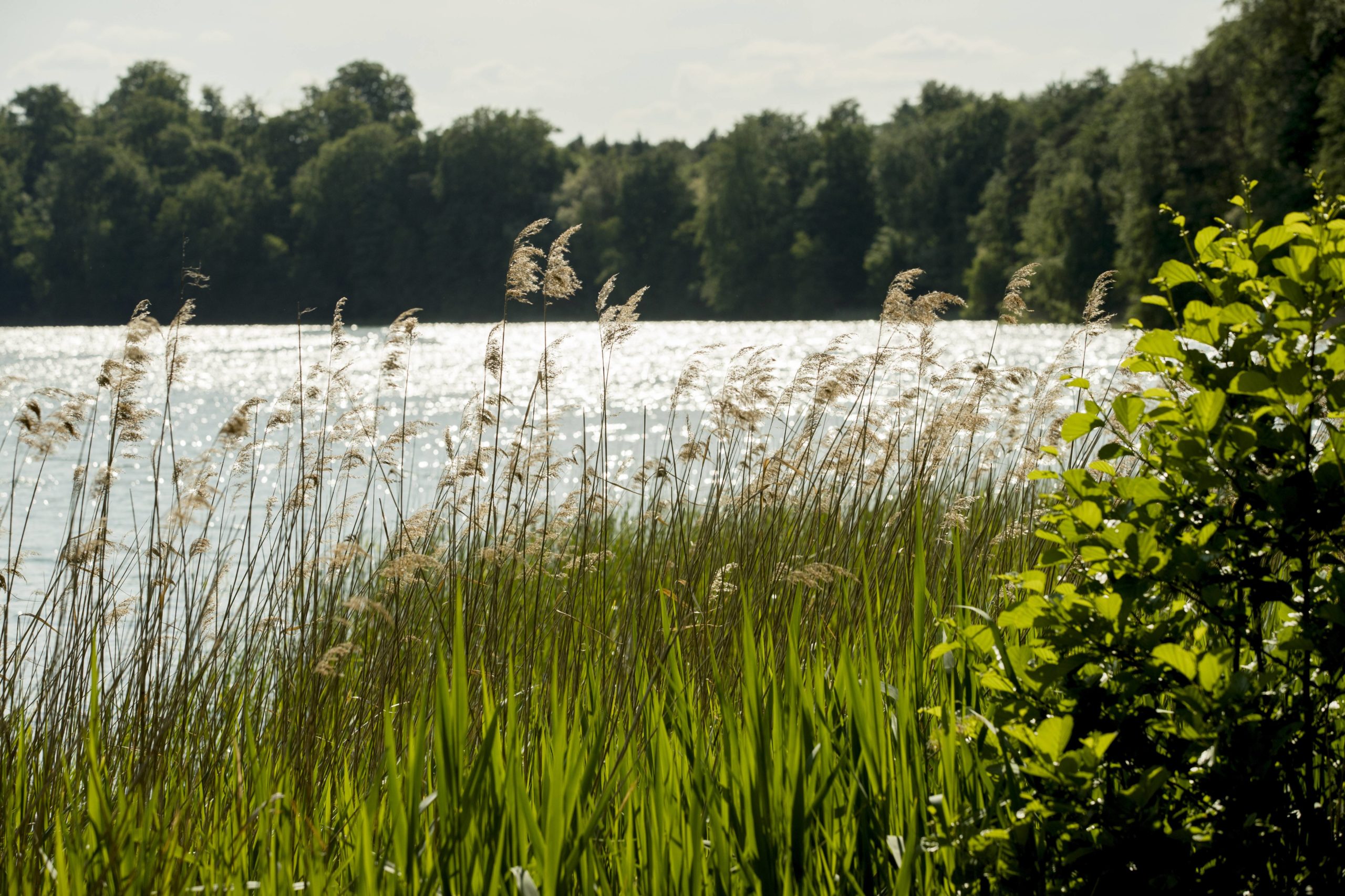Radtouren durch Brandenburg: Der Liepnitzsee ist einer der schönsten sowie beliebtesten Seen im nördlichen Umland.