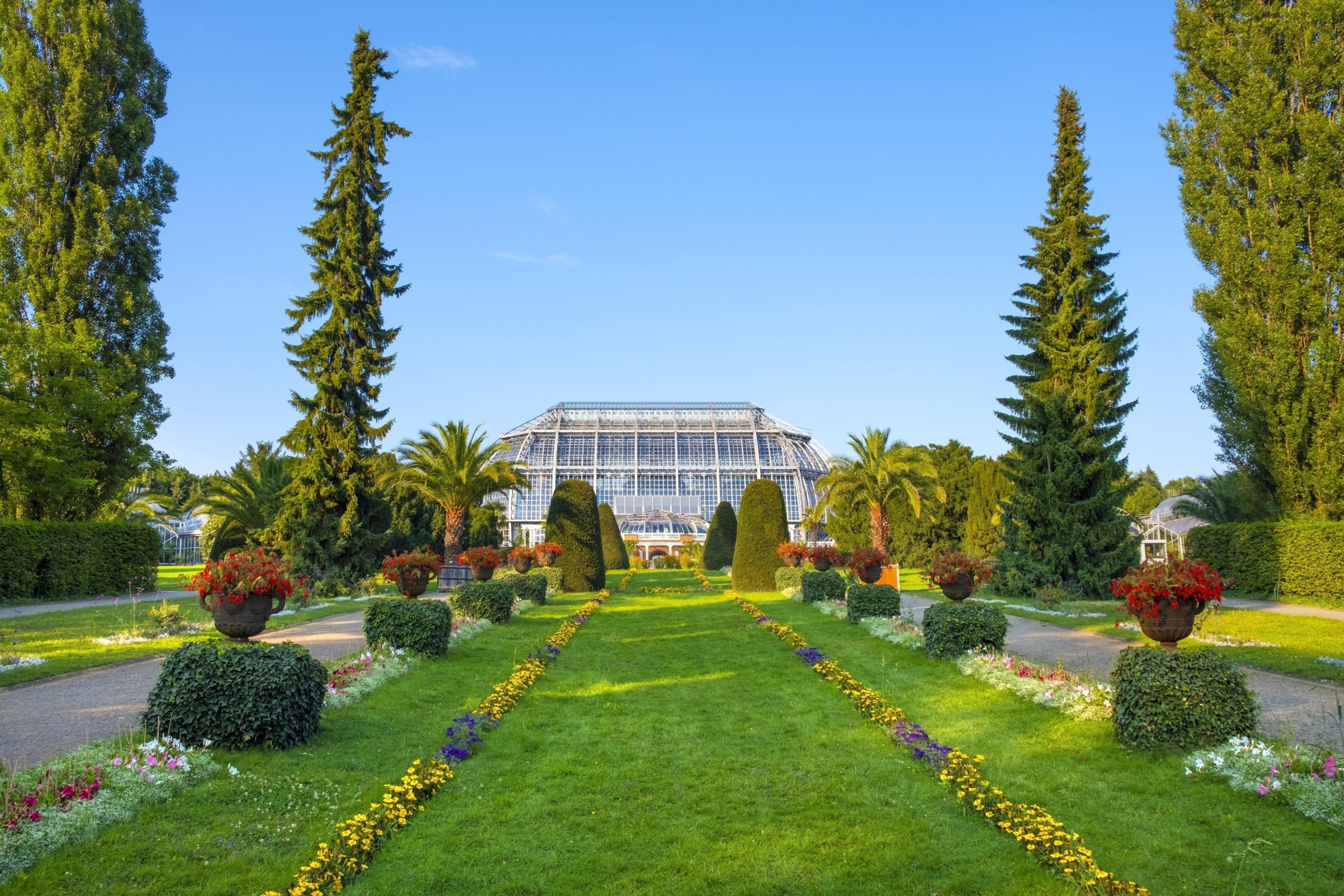 Die schönsten Gärten von Berlin: Nirgendwo gibt es so viele unterschiedliche Pflanzen wie im Botanischen Garten. 