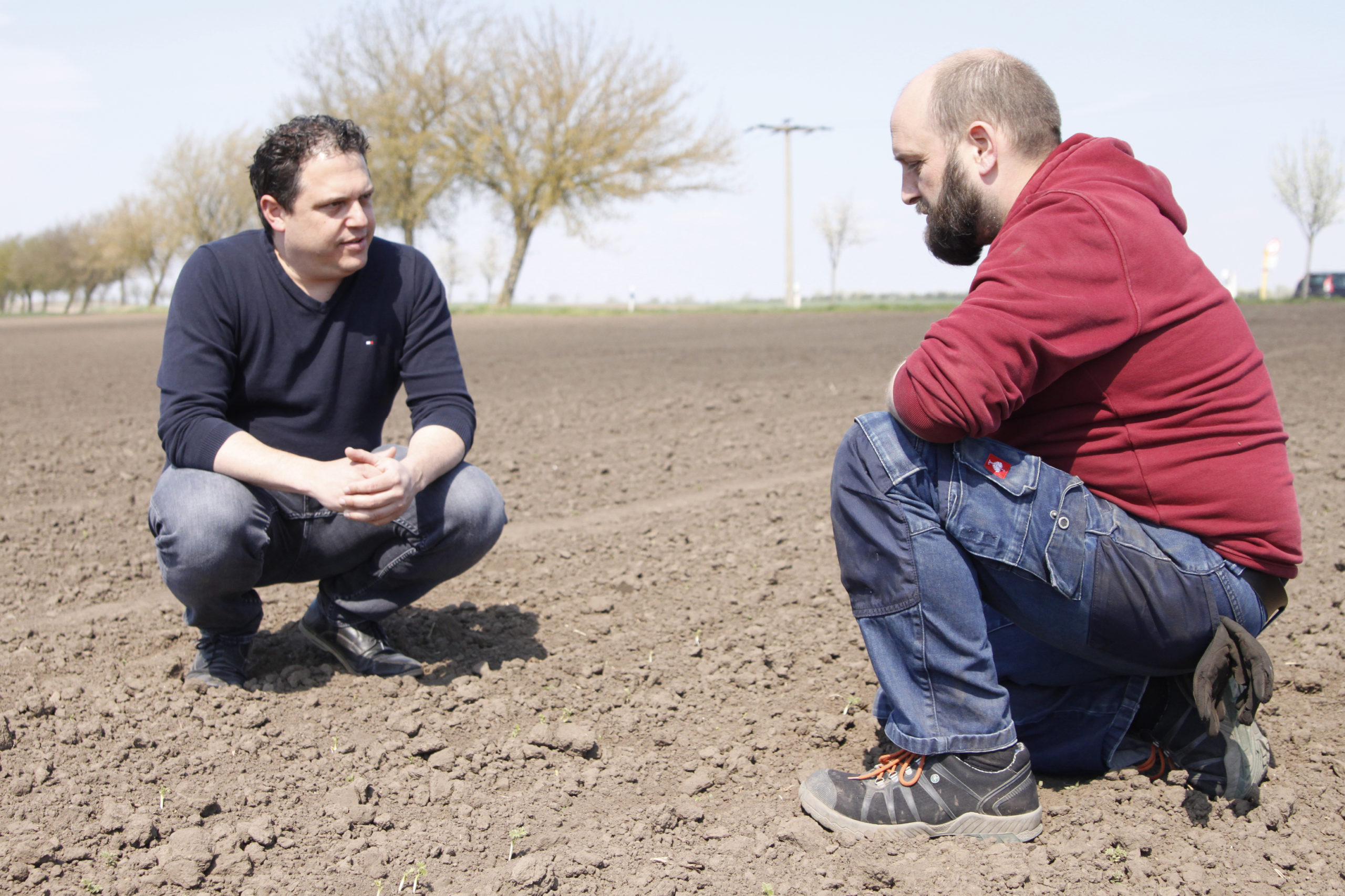Beim Biolandwirt Jonas Schulze-Niehoff werden die Kichererbsen angebaut. Foto: Zeevi Kichererbsen GmbH