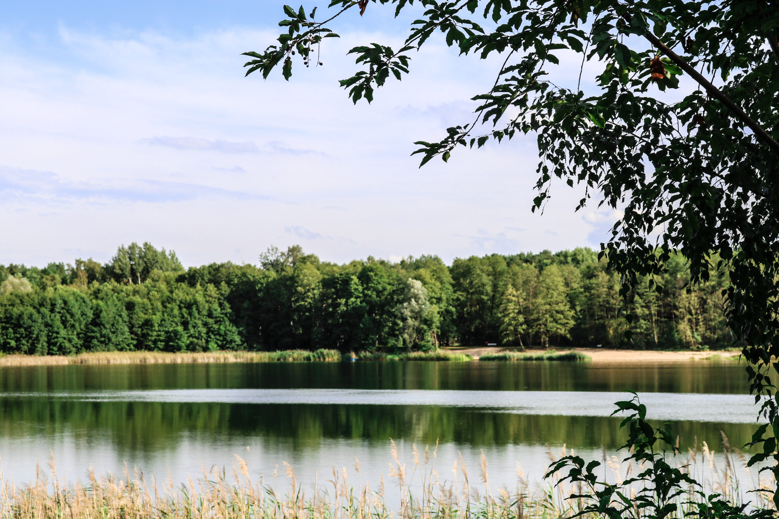 Hotels am Wasser in Brandenburg Blick auf den Pinnower See: Während des Aufenthalts im gemütlichen Hotel Karpfenschänke kann man seine Freizeit mit Kahn fahren, angeln und sogar tauchen verbringen.