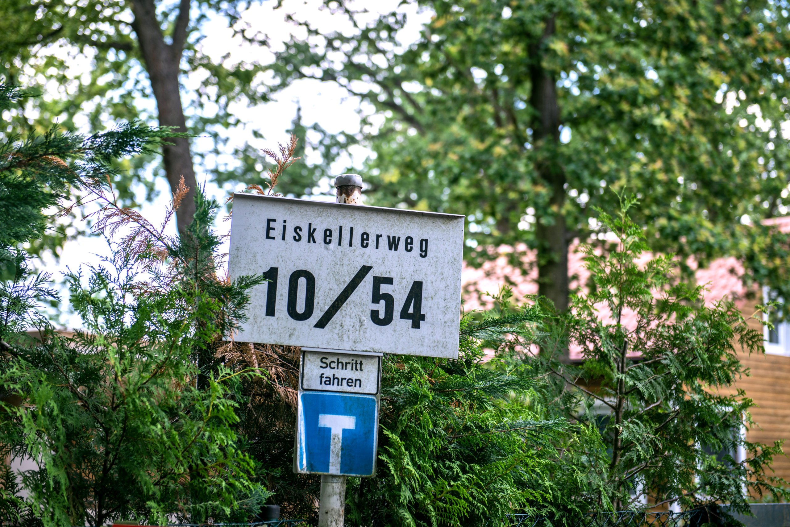 Die Mauerweg-Tour durch den Spandauer Forst führt vorbei an Eiskeller, einst die berühmteste West-Exklave auf DDR-Gebiet. Foto: F. Anthea Schaap