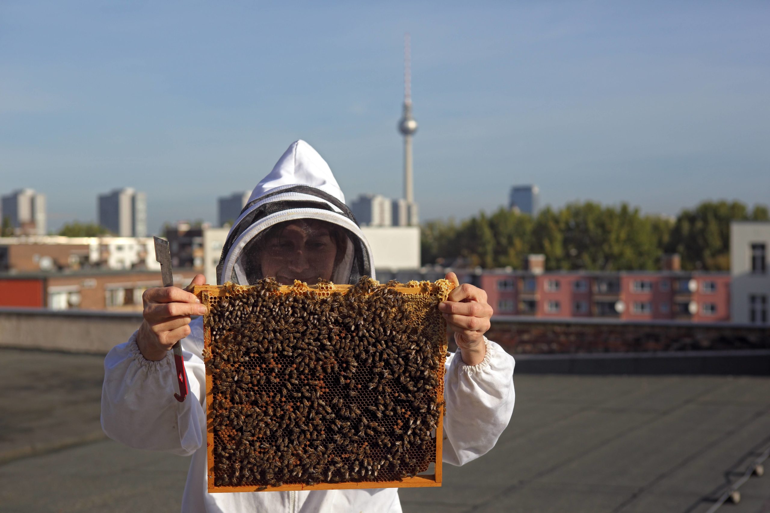 Imkerin Erika Mayr kontrolliert eine Brutwabe eines Bienenvolkes auf einem Dach eines Hauses in Mitte. Foto: Imago/Frank Sorge