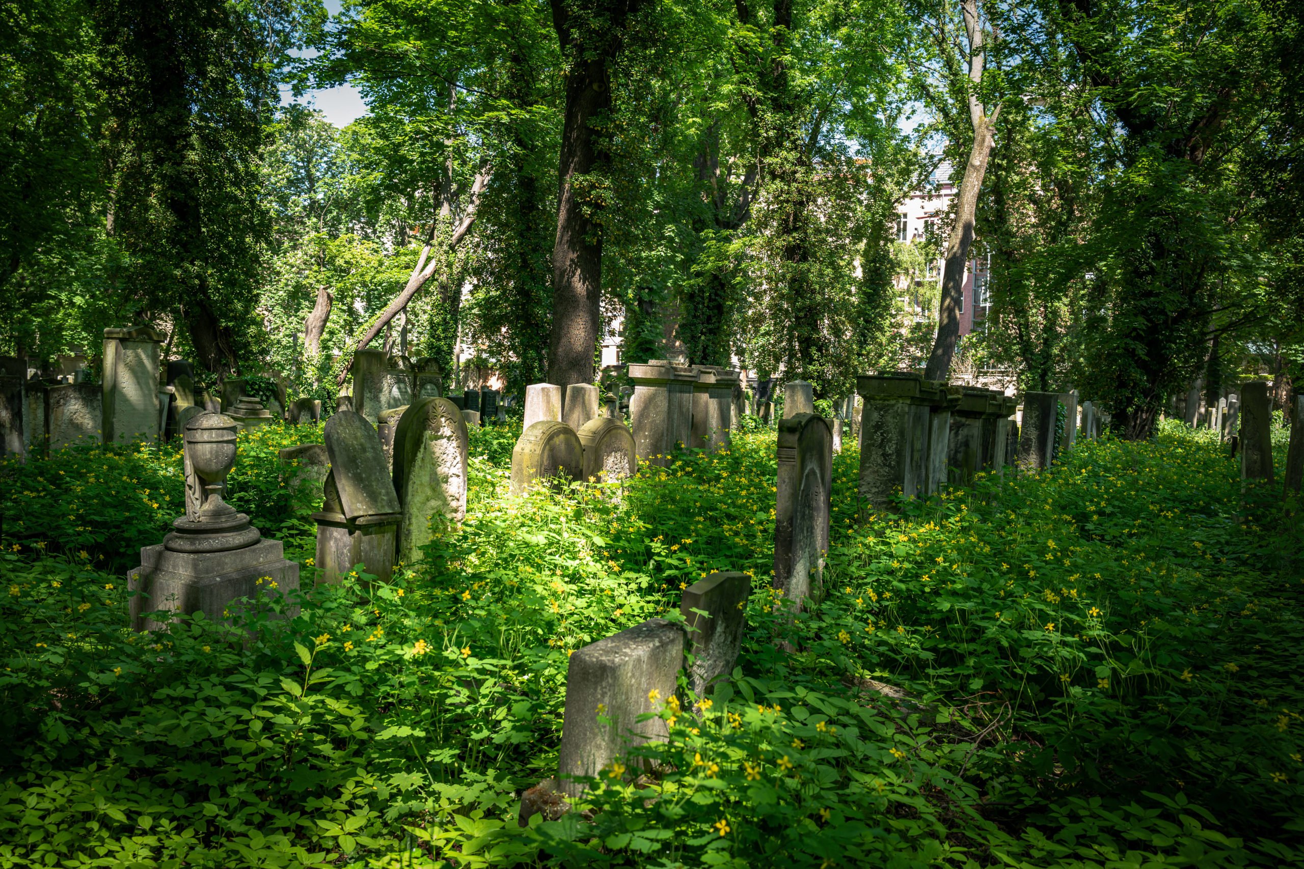 Sehenswürdigkeiten Prenzlauer Berg Die Jüdische Geschichte spielt in der Geschichte Berlins im 20. Jahrhundert eine große Rolle. Der grüne Friedhof an der Schönhauser Allee in Prenzlauer Berg ist bedeutenden Personen des jüdischen Lebens gewidmet. 