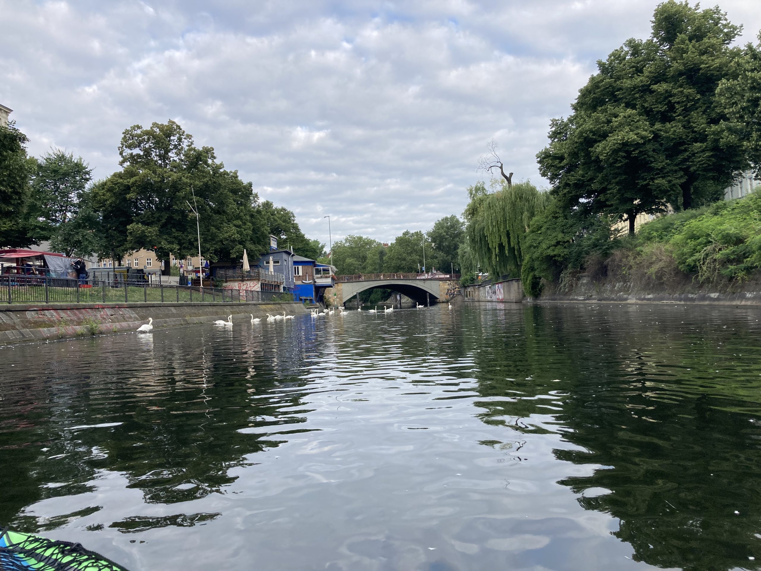 Mit dem Boot über den Landwehrkanal paddeln: Noch in Kreuzberg. Schwäne und die Ankerklause am frühen Morgen. Foto: Jacek Slaski