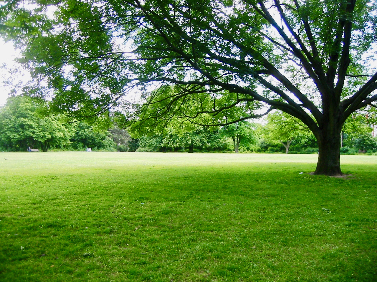 Man spaziert ein paar Meter und landet in Neukölln schnell in schönen Parks – etwa auf der Wiese der Thomashöhe. Foto: Assenmacher/Wikimedia Commons/CC BY-SA 4.0