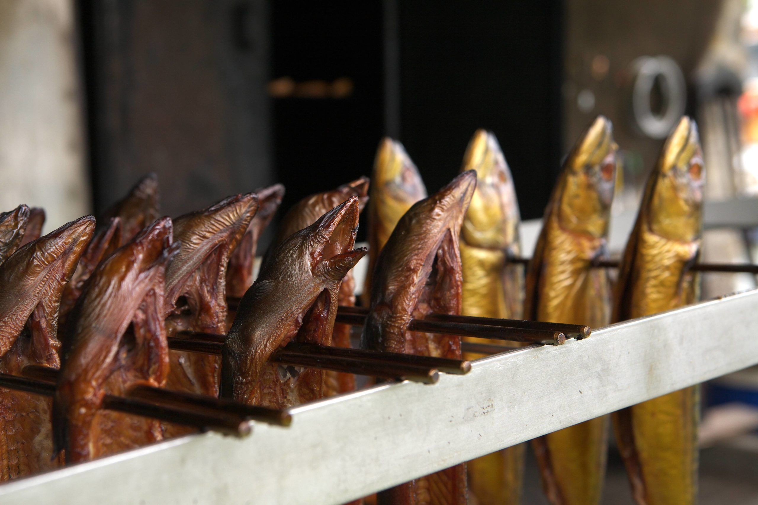 Fisch aus Brandenburg Im Imbiss der Fischerei Stechlinsee kommt jede:r auf den Geschmack – und wird wahrscheinlich zum/zur Fischliebhaber:in.
