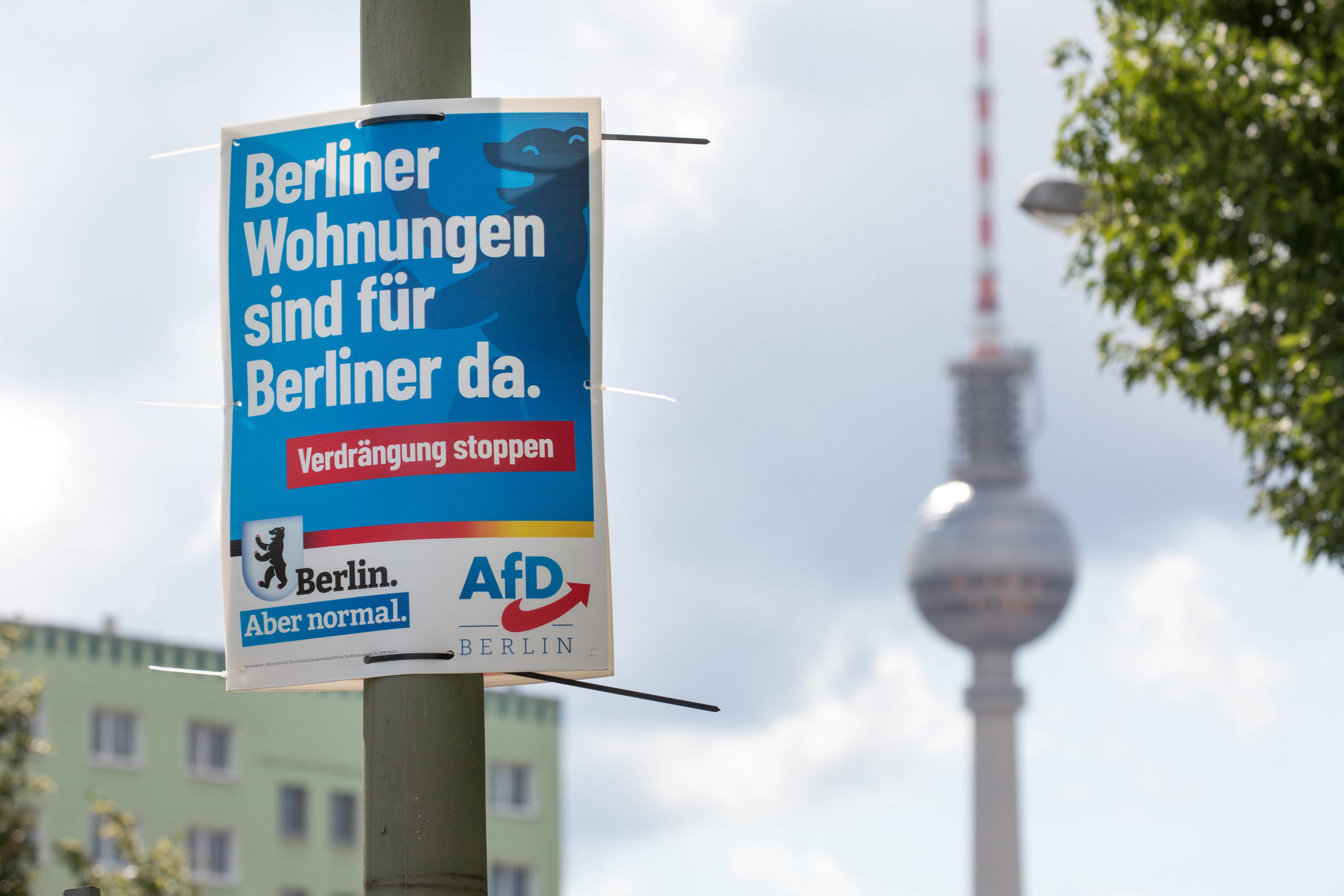 Wahlplakat der AfD in Berlin. Foto: Imago/Dirk Sattler
