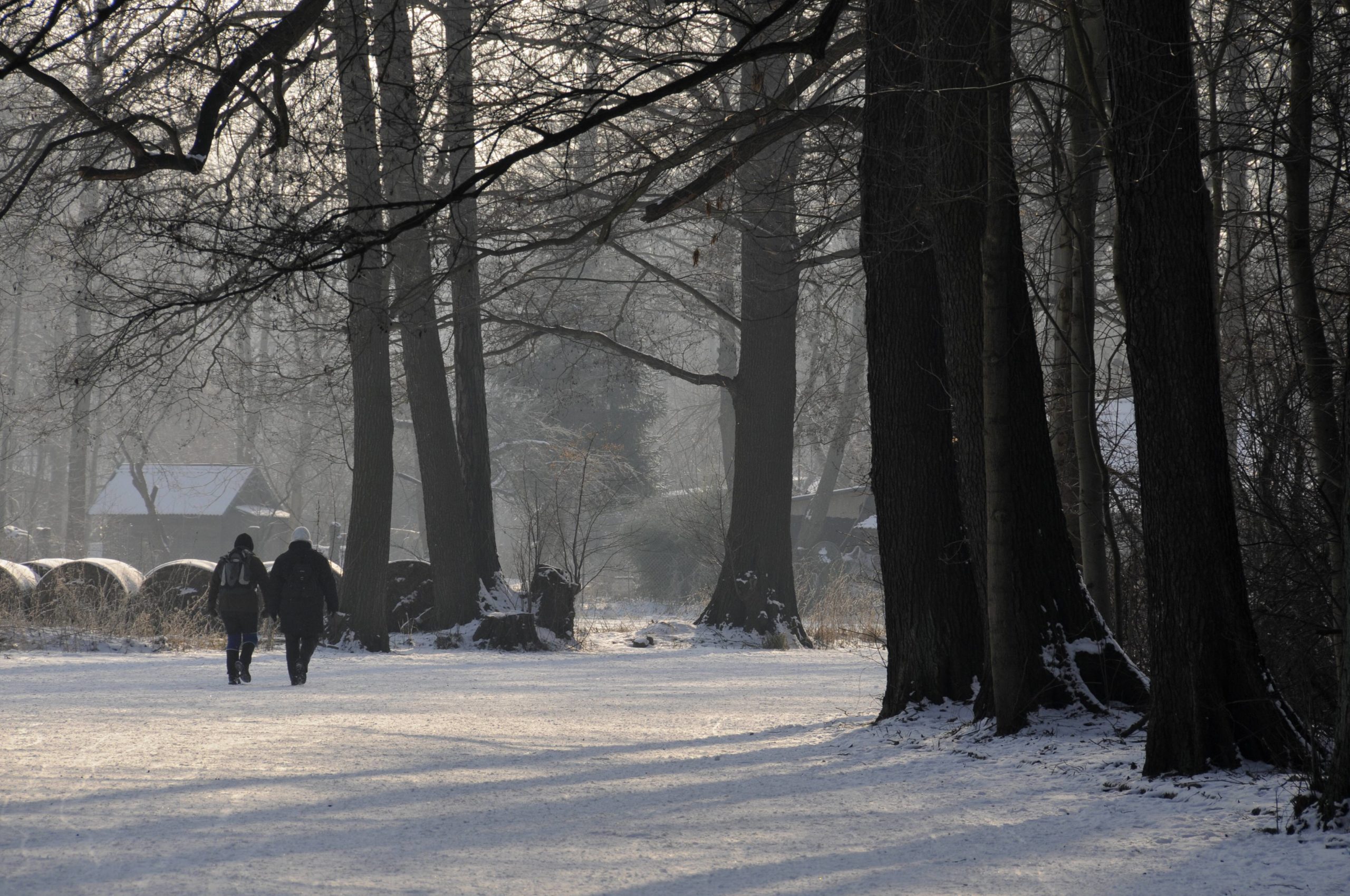 Wintersport Zwei Winterwanderer im Spreewald: Wer in der Kälte wandert, spürt die klare Luft des Waldes noch intensiver. 