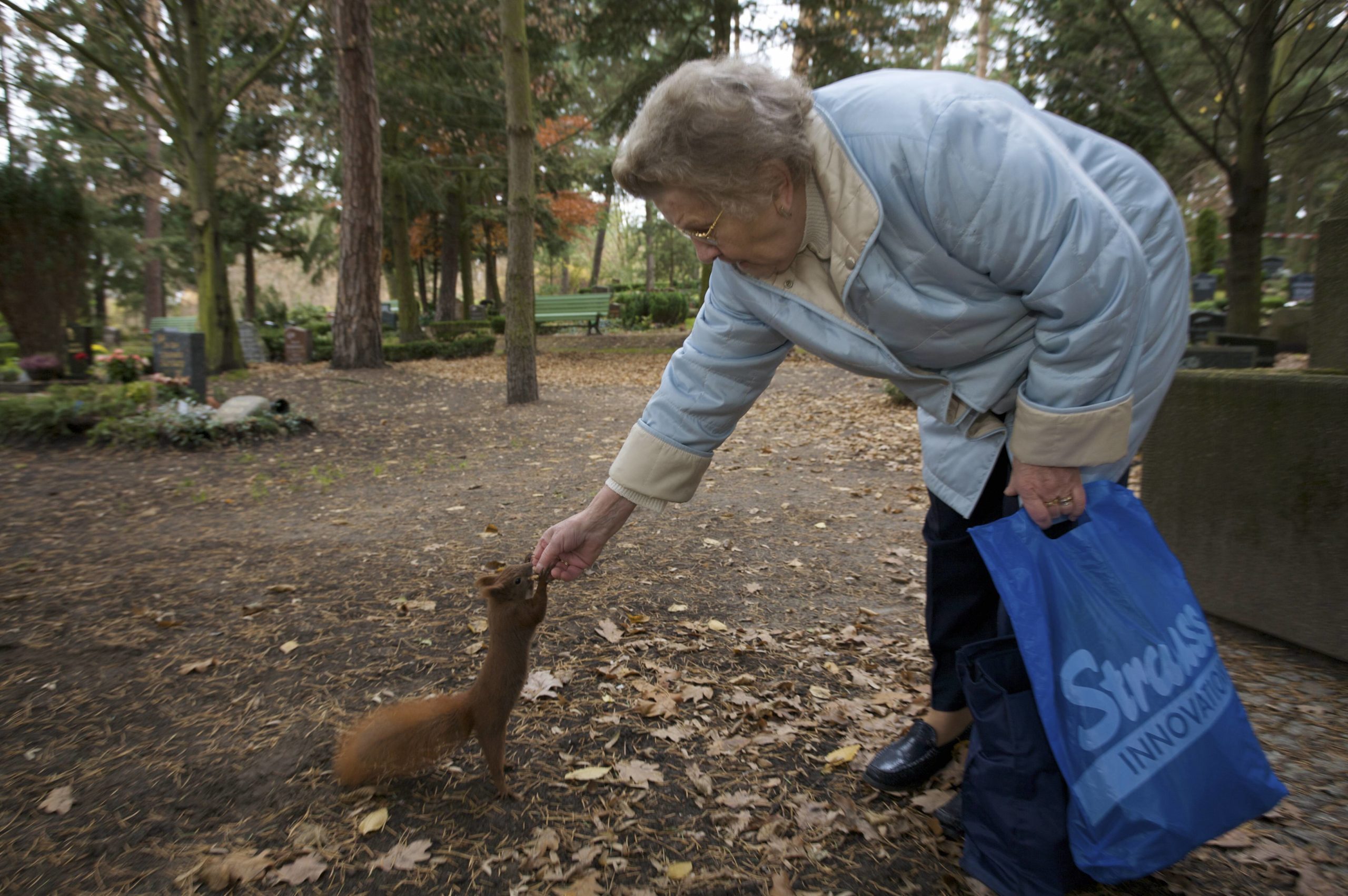 Ältere Frau füttert ein Eichhörnchen auf dem Friedhof In den Kisseln. Foto: Imago/Nature Picture Library
