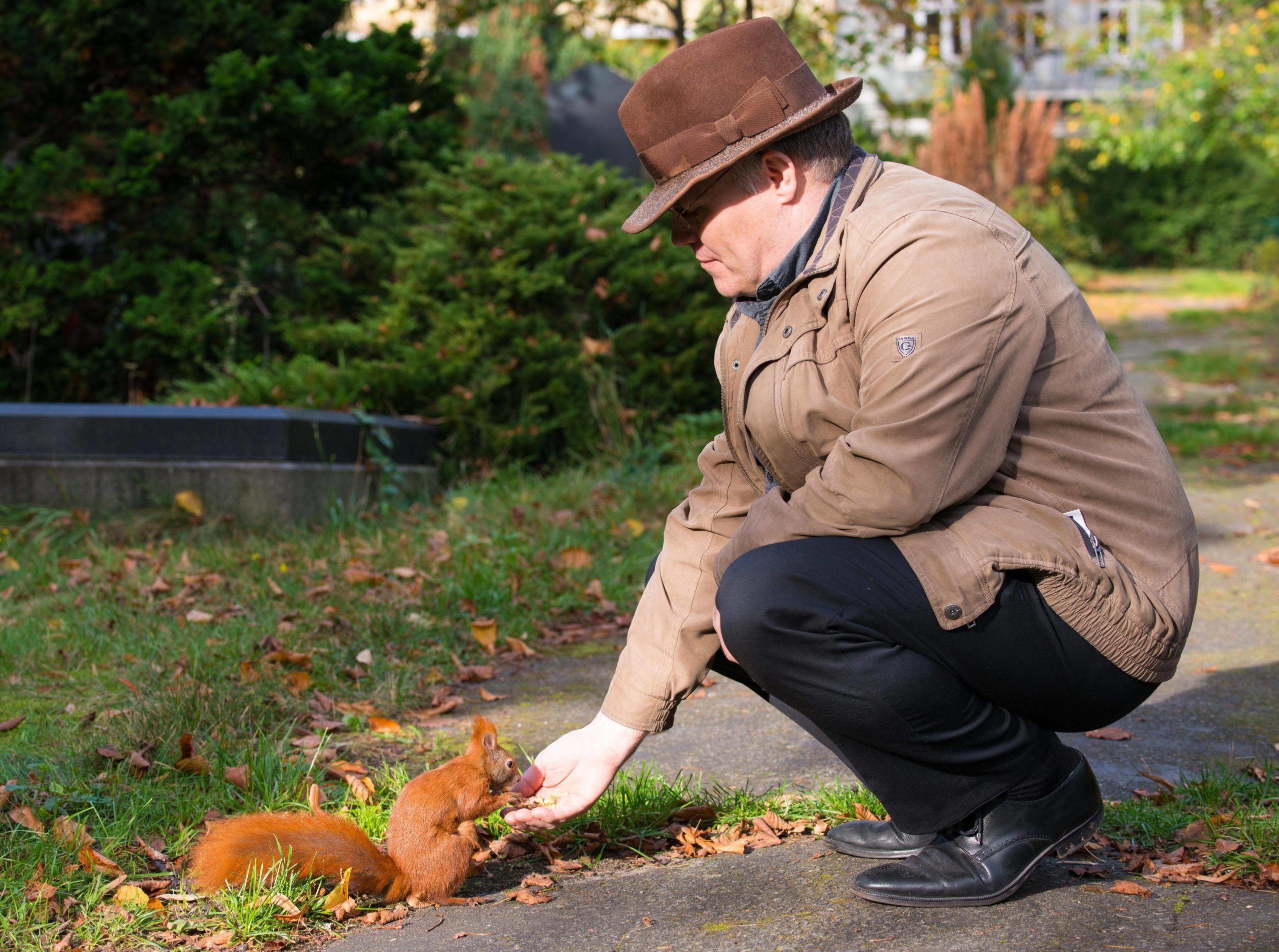 Mann mit Hut füttert eine Eichhörnchen auf dem Friedhof in der Bergmannstraße in Kreuzberg. Foto: Imago/Imagebroker
