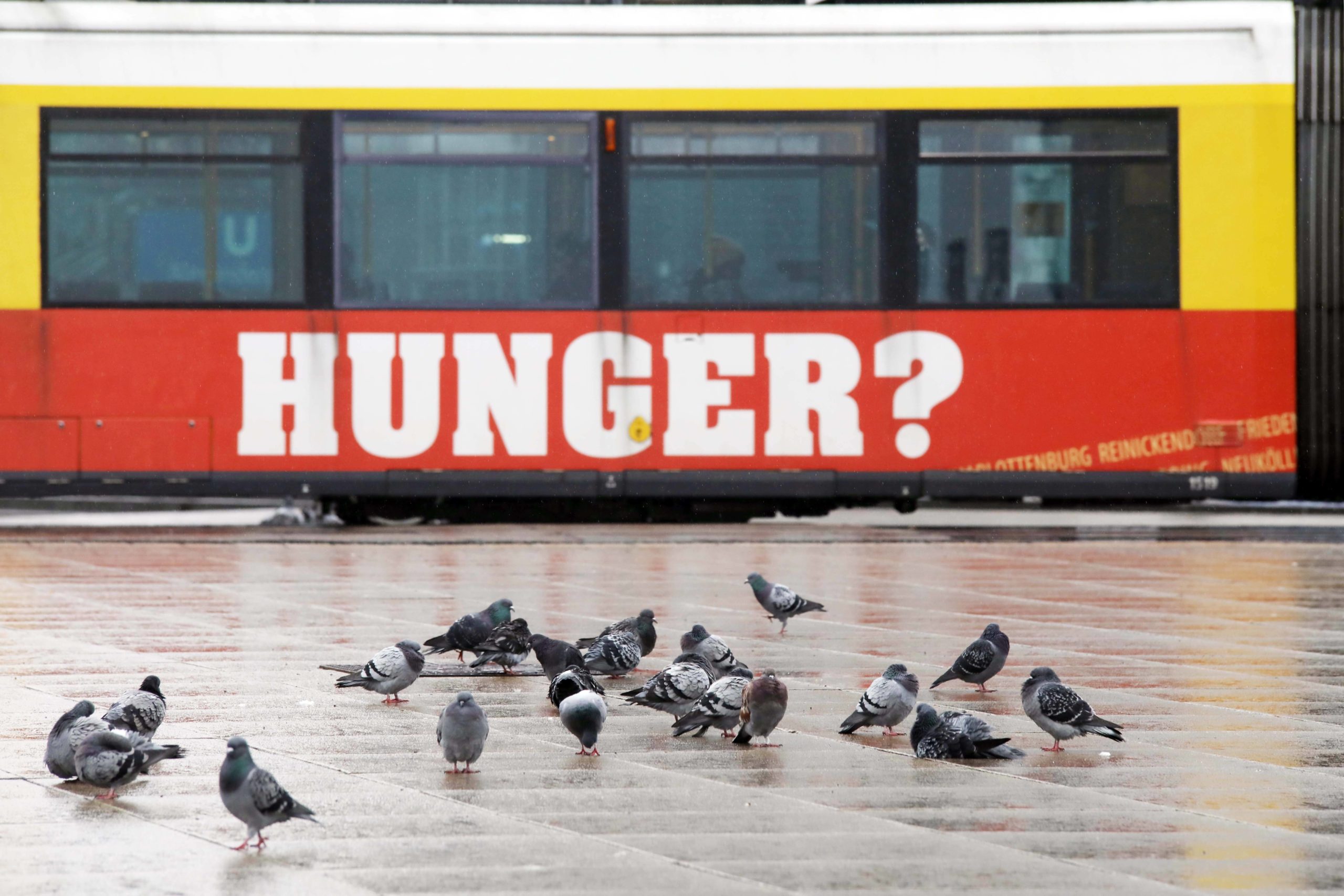 Satt sein – unser Autor geht der Frage auf den Grund. Berliner Tram mit Werbeaufschrift "Hunger" fährt an einem Schwarm Tauben vorbei.